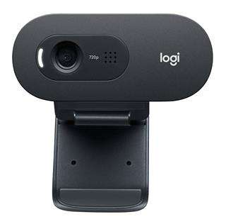 LOGITECH WEBCAM C505E HD BUSINESS Micro largo alcance